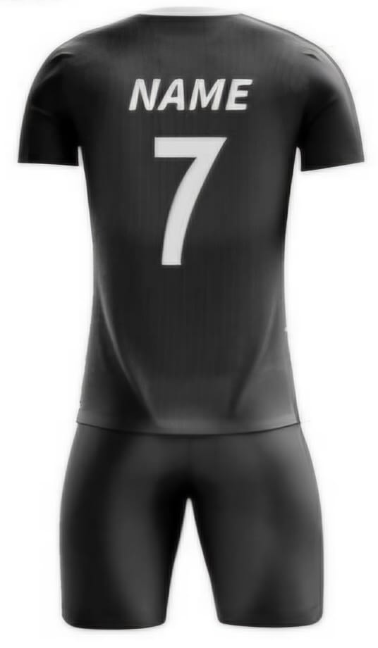 Schwarz/Blau/Rot Polo Hinten